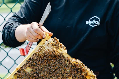 Alvéole | Urban beekeeping & biodiversity for commercial properties