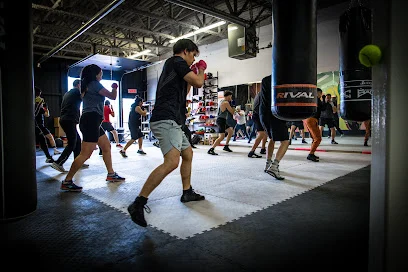 Club de Boxe Universel