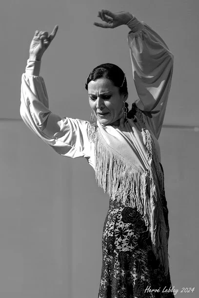 Escuela de flamenco Rocio Vadillo - École de Flamenco - Flamenco School.