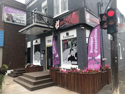 La Brigade Canine, 55 années d'expérience