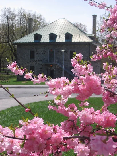 Les Amis de la montagne
